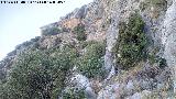 Peñas de Castro. Paredes rocosas del oeste