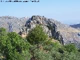 Peñas de Castro. Peña norte