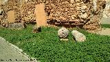 Castillo de los Guzmanes. Piezas arqueológicas en los jardines extramuros