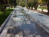 Paseo de la Alameda. Polémicas fuentes a ras de suelo