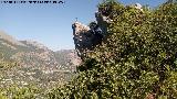 Peñas de Castro. Señal de coto