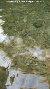 Río Frío. Transparencia de sus aguas