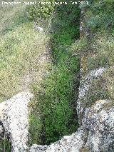 Necrópolis visigoda del Cerro Salido. Tumba