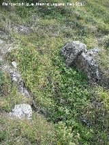 Necrópolis visigoda del Cerro Salido. Tumba