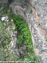 Necrópolis visigoda del Cerro Salido. Tumba