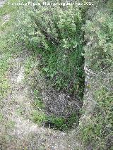 Necrópolis visigoda del Cerro Salido. Tumba