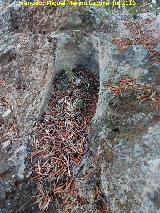 Necrópolis visigoda del Cerro Salido. Tumba cercana a la Cueva Alta de la Sepultura