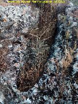 Necrópolis visigoda del Cerro Salido. Tumba cercana a la Cueva de las Sepulturas