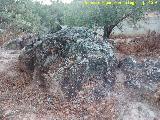 Necrópolis visigoda del Cerro Salido. Tumbas cercanas a la Cueva Alta de la Sepultura