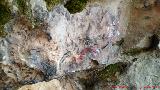 Pinturas rupestres de la Cueva de la Dehesa. U invertida y restos desvaídos
