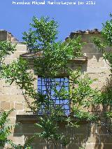 Ermita-Hospedería Madre de Dios del Campo. Ventana de la fachada de la Ermita