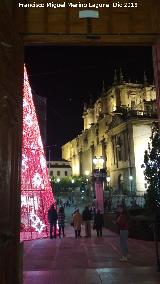 Palacio de la Diputación. Vistas hacia la Catedral de Jaén desde la puerta