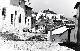 Calle �rbol