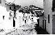 Calle Cantones