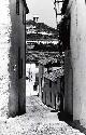 Calle Rosal