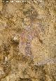 Pinturas rupestres de la Cueva del Engarbo I. Grupo II. Panel V