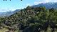 Cerro Molina