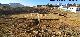 Anfiteatro Romano