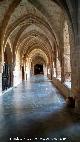 Monasterio de Piedra. Claustro