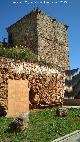 Castillo de los Guzmanes. Torre Sureste