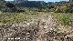 Camino de Ja�n a Guadix