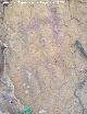 Pinturas rupestres del Abrigo Debajo del Plato
