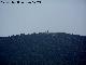 Monte Ardal
