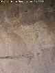 Pinturas rupestres de Los Toros del Navazo