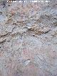 Pinturas rupestres de la Cueva del Gitano Grupo II