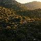 Cencerro