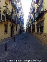 Calle Jorge Morales. 