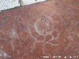 Paseo de la Estación. Fósil en los mosaicos del Paseo (Ammonitico Rosso)