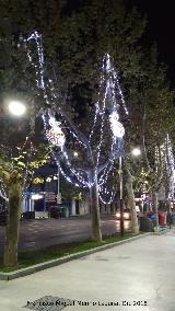 Paseo de la Estacin. Iluminacin navidea