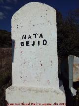 Aldea Mata Bejid. 