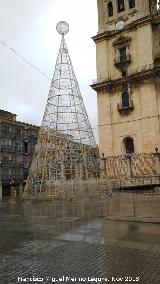 Plaza de Santa María. Árbol de Navidad