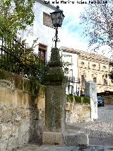 Fuente de la Calle Prior Monteagudo. 