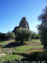 Sierra de Jaén. Peña entre las olivas