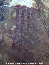Pinturas rupestres de la Cueva de los Herreros Grupo II. Pectiniforme