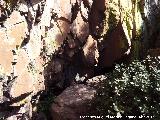 Pinturas rupestres del Abrigo Pequeo de la Cueva del Santo. Abrigo