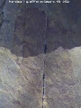 Pinturas rupestres del Abrigo Pequeo de la Cueva del Santo. Ramiforme superior
