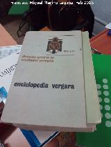 Los Grupos. Enciclopedia Vergara