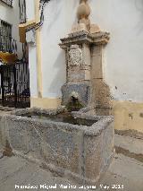Fuente de la Plaza de San Rafael. 