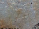 Pinturas rupestres del Abrigo de los rganos III. Zooformo muy desvado