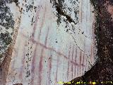 Pinturas rupestres de las Vacas del Retamoso X. Parte superior