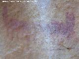Pinturas rupestres de las Vacas del Retamoso XII Grupo I. Pectiniforme
