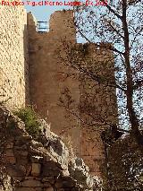 Castillo Nuevo de Santa Catalina. Torre de las Troneras. 