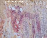 Pinturas rupestres del Frontn V. Cabra