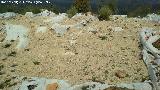 Oppidum de Giribaile. Necrpolis Baja. Excavacin arqueolgica protegida