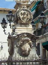 Triunfo de San Rafael de la Plaza de los Aguayos. 