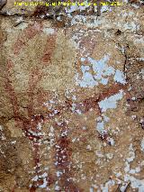 Pinturas rupestres del Poyo de la Mina II. Cabra superior